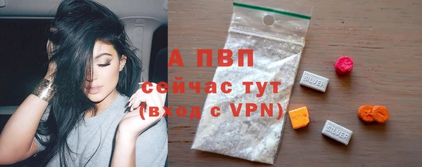 spice Карпинск