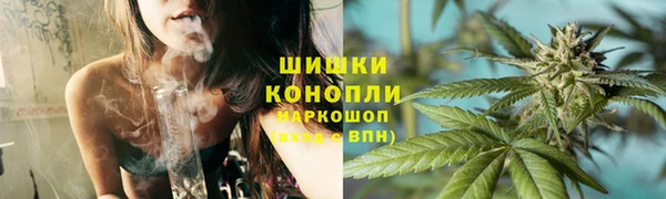 spice Карпинск