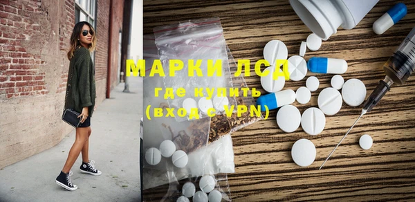 spice Карпинск