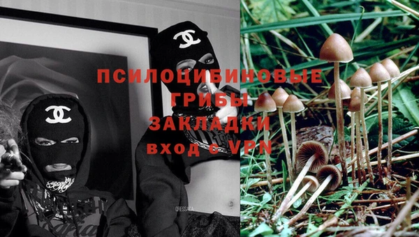 apvp Касимов