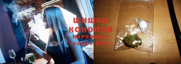 spice Карпинск
