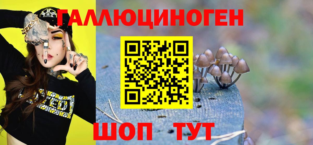 Галлюциногенные грибы MAGIC MUSHROOMS  Вход с VPN  Псилоцибиновые грибы ЛСД  Карачаевск 