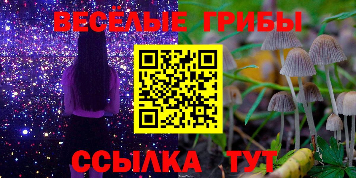 Меф   Экстази  Вход с VPN  Карачаевск  Гашиш  Марихуана  Кокаин 