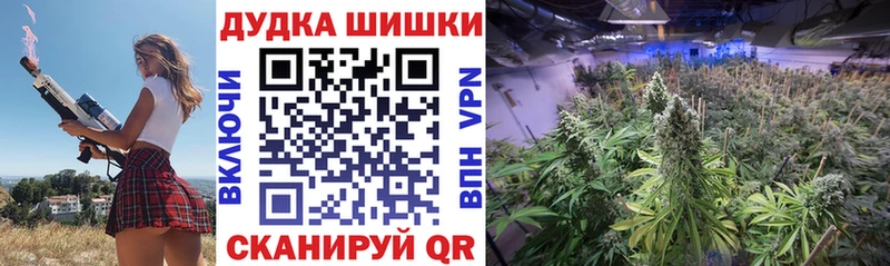 как найти наркотики  Карачаевск  Бошки Шишки VHQ 
